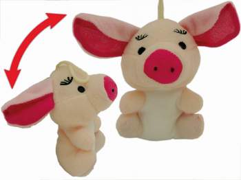 Samt-Schwein mit langen Ohren